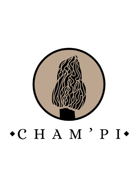 logo sans fond (1)